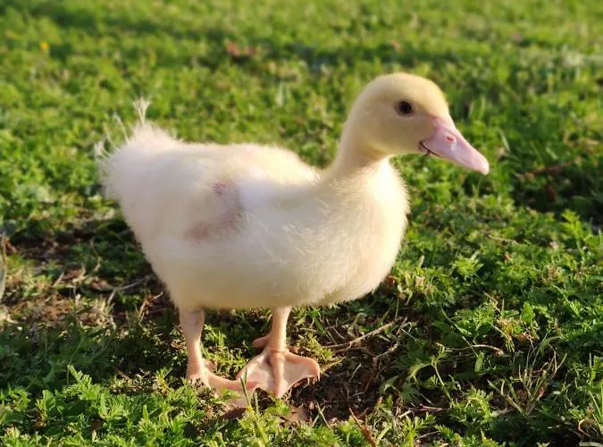 La Tavernetta Διαμέρισμα