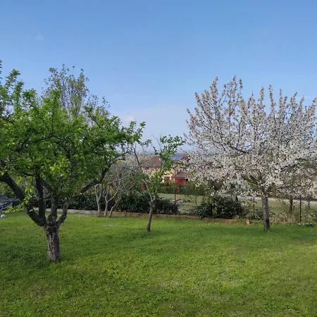 Apartment La Tavernetta